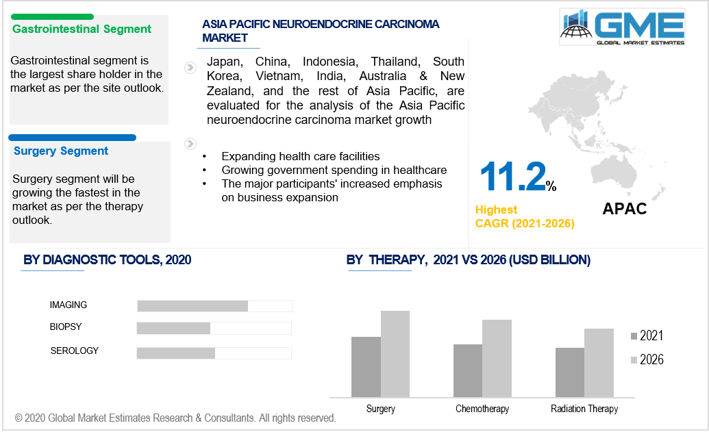 asia pacific neuroendocrine carcinoma market